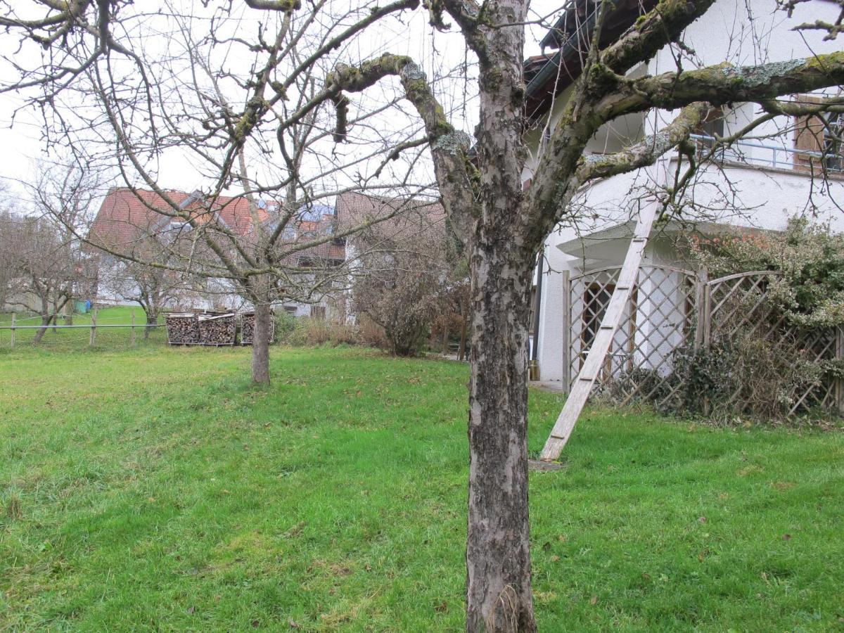 מלון Wangen im Allgäu Gasthaus Adler מראה חיצוני תמונה